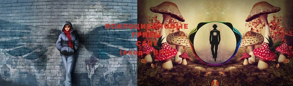герыч Алексеевка