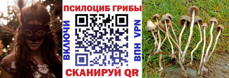 где купить наркоту  Можга  Галлюциногенные грибы мухоморы 
